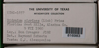 Image Associated With the Occurence